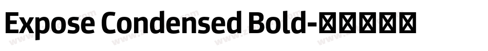 Expose Condensed Bold字体转换